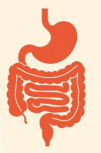 IBS