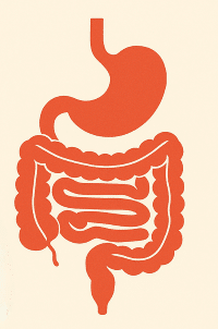 IBS